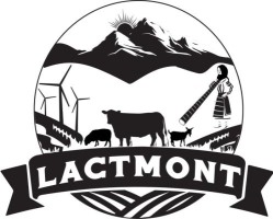 LactMont S.R.L., Abrud