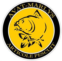 AVAT Marylys, Cluj-Napoca