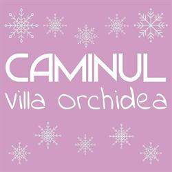 Caminul Villa Orchidea, Târgovişte