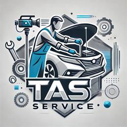 Tas Service, Timişoara