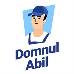 Domnul Abil, Timişoara