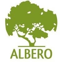 Usi Albero Iasi