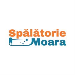 Spalatorie de covoare Moara - Suceava, Moara Nica