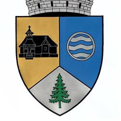 Primăria Municipiului Topliţa