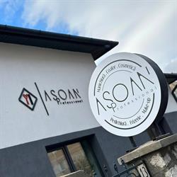Salon ASOAN, Alba Iulia