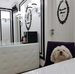 Carolyne Beauty Center, Bistriţa