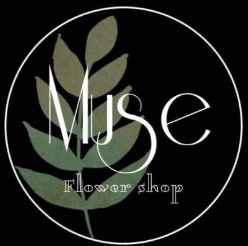 Floraria Muse Flower Shop, Timişoara