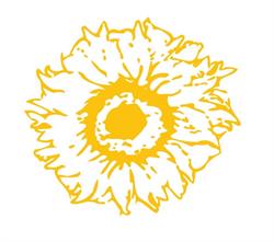 SOLENZARA GROUP, Târgovişte