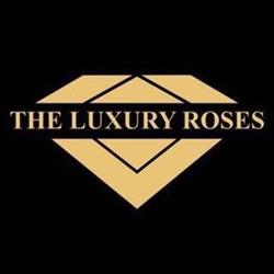 The Luxury Roses, Satu Mare