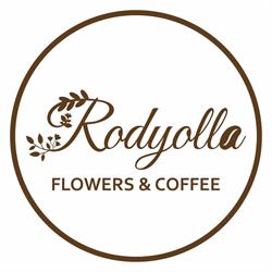 Rodyolla, Bucureşti