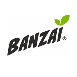 Banzai Romania, Tomeşti