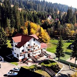Daiana, Suceviţa