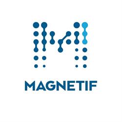 Magnetif - Agentie SEO & PPC, Bucureşti