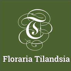 Floraria Tilandsia, Sânnicolau Mare