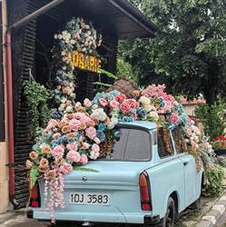 Il Davro Flowers, Chiajna