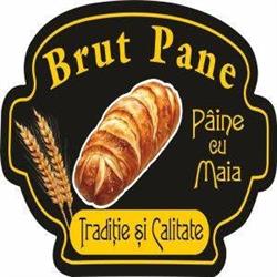Brut Pane, Satu Mare