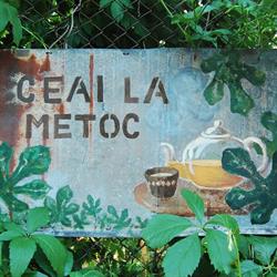Ceai la Metoc, Bucureşti