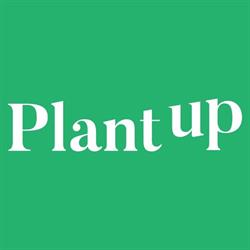 PlantUp - Magazin Plante de Interior, Bucureşti