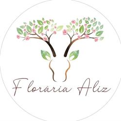 Floraria Aliz, Cluj-Napoca