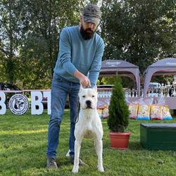 Barbosul Ger - Dogo Argentino Kennel, Cluj-Napoca