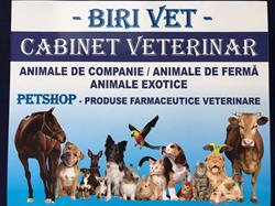 Biri Vet, Uricani