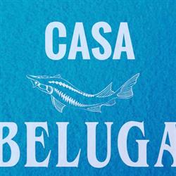 Casa Beluga, Sarichioi