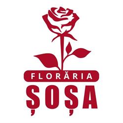 Floraria Sosa, Aiud