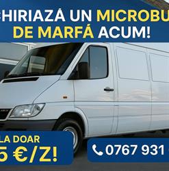 Microbuz de inchiriat, Timişoara