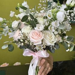 Florăria Edy şi Emma, Călimăneşti