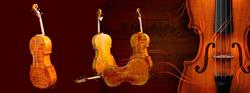 Special Violins, Reghin