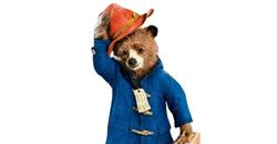Pensiunea Ursuleţul Paddington, Predeal