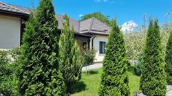 Salt Orchid Apartments, Turda