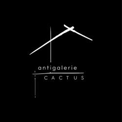 Antigalerie Cactus, Târgu Mureş