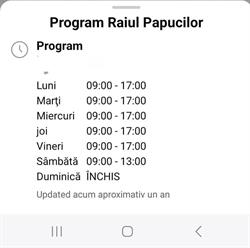 Raiul Papucilor, Şimleu Silvaniei
