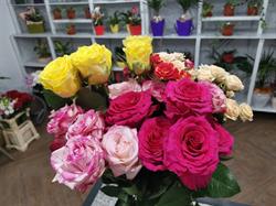 Soimii Florilor /Florărie Bucea