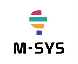 M SYS Group, Satu Mare