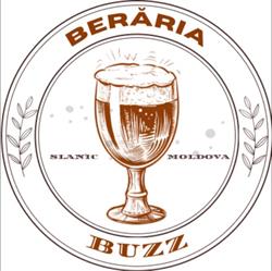Beraria Buzz - Slanic Moldova