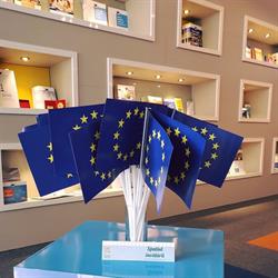 Spaţiul Public European, Bucureşti