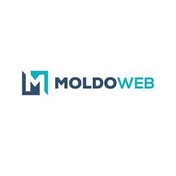 MoldoWEB - Software Development Company, Cluj-Napoca