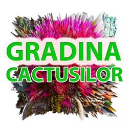 Gradina Cactusilor, Arad