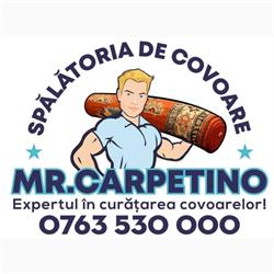 Spalatorie de covoare Mr. Carpetino, Bistriţa