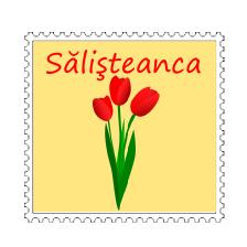 Camping Sălişteanca