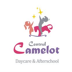 Centrul Camelot, Timişoara