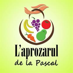 L'aprozarul de la Pascal (Zona Pascal), Roman