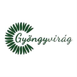 Florăria Gyöngyvirág Virágüzlet, Odorheiu Secuiesc