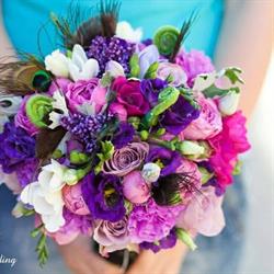 Edma Floral, Râşnov