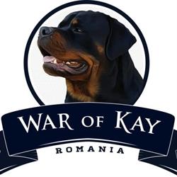 War Of Kay House - Pensiune animale de companie, Buftea