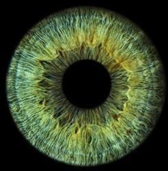 Focus Optika, Miercurea-Ciuc
