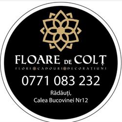 Floare de colţ, Rădăuţi