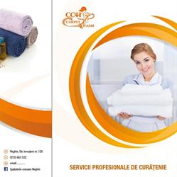 CCH Carpet Wash, Reghin